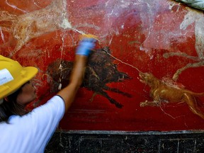 An archeologist works on a fresco in a house discovered during excavation works in Pompeii, Italy, presented to journalists Friday, Oct. 5, 2018. (Ciro Fusco/ ANSA via AP)