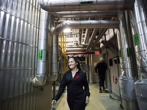 Foreign Affairs Minister Chrystia Freeland arrives to speak to the media after touring Bunge, a food production plant in Hamilton, Ont., on Thursday, November 8, 2018.