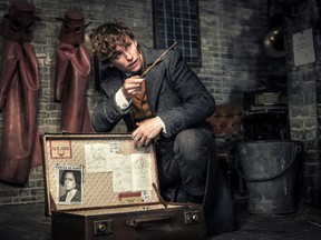 This image released by Warner Bros. Pictures shows Eddie Redmayne in a scene from "Fantastic Beasts: The Crimes of Grindelwald."