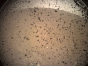 This photo provided by NASA shows the first image acquired by the InSight Mars lander after it touched down on the surface of Mars Monday, Nov. 26, 2018. Debris kicked up by the lander's rockets covers the camera's protective shield, which will later be removed. (NASA/JPL-Caltech via AP)