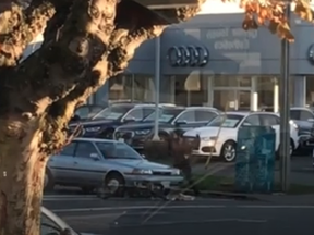 Video shows the cyclist throwing his feces at the car before picking up his cycle, ramming it into the car's headlights and then taking off.