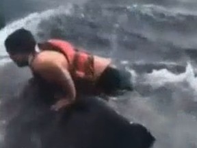 Sam Synstelien jumps onto an entangled whale off the coast of California. (Screen grab)