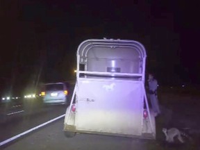 In this image from video made available by the Florida Highway Patrol a patrolman pulls over a driver in Sanford, Fla., Saturday, Dec. 1, 2018. The dashcam video also shows a lemur, right, on the side of the road after it escaped the pickup. The driver was arrested on several charges including DUI. (Florida Highway Patrol via AP)