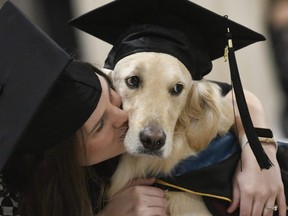 "Griffin" Hawley, the Golden Retriever service dog, is given a hug by his owner Brittany Hawley after being presented an honorary diploma by Clarkson University, during the school's "December Recognition Ceremony" in Potsdam, N.Y., Saturday, Dec. 15, 2018.