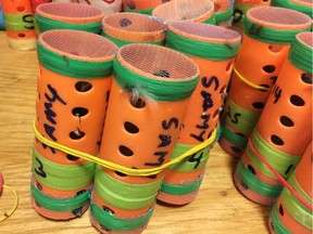 In this photo provided by the U.S. Customs and Border Protection, some of the 70 live finches hidden inside hair rollers found Saturday, Dec. 8, 2018, at New York's John F. Kennedy International Airport are displayed. Authorities say a passenger arriving from Guyana had the songbirds in a duffel bag. (U.S. Customs and Border Protection via AP) ORG XMIT: NYAG403