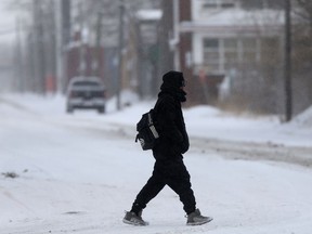 While most metropolitan areas such as Toronto, Montreal and Vancouver will get zero to very little snow, Edmonton, Winnipeg and Regina are "guaranteed" to get a white Christmas, The Weather Network's Chris Scott said.