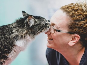 A cat is named Baloo nuzzles with a vet technician in a handout photo from the Montreal SPCA.