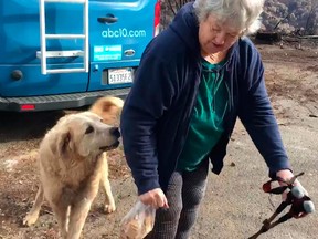 In this Friday Dec. 7, 2018 image from video provided by Shayla Sullivan, "Madison," the Anatolian shepherd dog that apparently guarded his burned home for nearly a month, greets his owner, Andrea Gaylord, as she was allowed back to check on her burned property in Paradise, Calif.