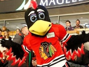 Do not mess around with Blackhawks mascot, Tommy Hawk.