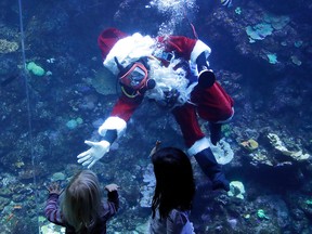 Volunteer diver George Bell, dressed as Santa Claus, waves to children after speaking inside the Philippine Coral Reef tank at The California Academy of Sciences in San Francisco, Thursday, Dec. 13, 2018.