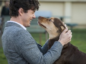 This image released by Sony Pictures shows Jonah Hauer King with Shelby, who portrays Bella, in a scene from Columbia Pictures' "A Dog's Way Home. (James Dittiger/Columbia Pictures - Sony via AP)