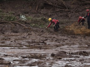 Firefighters search in the mud after a dam collapse near Brumadinho, Brazil, Saturday, Jan. 26, 2019.