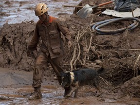 A firefighter and his rescue dog search for victims of a dam collapse at an iron-ore mine belonging to Brazil's giant mining company Vale near the town of Brumadinho, state of Minas Gerais, southeastern Brazil, on Monday, Jan. 28, 2019.