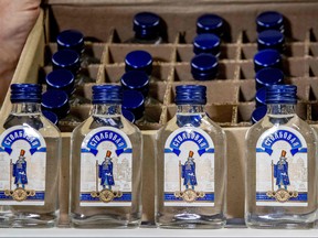Picture shows vodka bottles that were seized by the customs authorities in the port of Rotterdam, on February 26, 2019. (ROBIN UTRECHT/AFP/Getty Images)