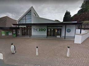 Belfast Zoo. (Google Street View)