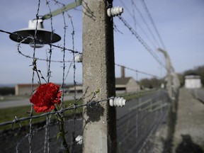 View of a barbed wire fence and a flower at the Buchenwald Nazi concentration camp during the ceremonies marking the 70th anniversary of the camp's liberation at the Buchenwald memorial on April 12, 2015 near Weimar, Germany. (Jens Schlueter/Getty Images)