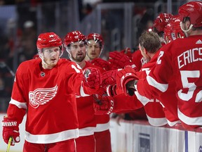 Detroit Red Wings right wing Gustav Nyquist (14) celebrates his goal against the San Jose Sharks Sunday, Feb. 24, 2019, in Detroit. (AP Photo/Paul Sancya)