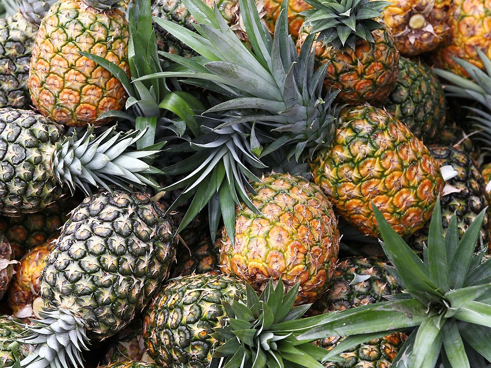 Cocaine worth millions found in pineapples, figurines at ports
