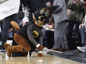 San Antonio Spurs mascot, The Coyote, uses a net as he dives for and catches a bat during a game against the New Orleans Pelicans in San Antonio, Saturday, Feb. 2, 2019. (AP Photo/Eric Gay)