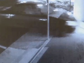 A burglar reportedly plowed into the doors of an Oklahoma-based adult novelty store and stole lingerie and sex toys. (NewsOn6)