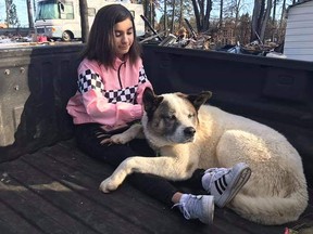 This Feb. 18, 2019 photo provided by Ben Lepe shows Maleah Ballejos reunited with her dog Kingston in Paradise, Calif. (Ben Lepe via AP)