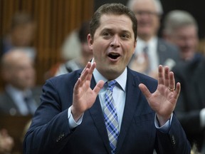 Conservative Leader Andrew Scheer rises during Question Period in the House of Commons, Monday, March 18, 2019 in Ottawa. THE CANADIAN PRESS/Adrian Wyld