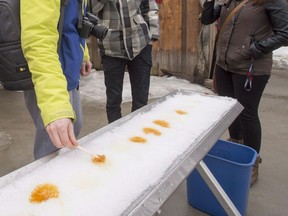 People sample some hot maple syrup on snow, Thursday, March 10, 2016 in Saint Marc-sur Richilieu, Que. (THE CANADIAN PRESS/Ryan Remiorz)