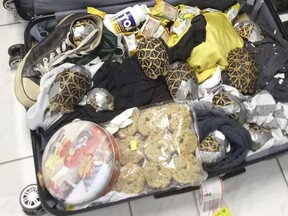 In this March 3, 2019, handout photo provided by the Bureau of Customs Public Information Office, duct-taped turtles are mixed inside luggage as they are presented to reporters in Manila, Philippines. Philippine authorities said that they found more than 1,500 live exotic turtles stuffed inside luggage at Manila's airport. The various types of turtles were found Sunday inside four pieces of left-behind luggage of a Filipino passenger arriving at Ninoy Aquino International Airport on a Philippine Airlines flight from Hong Kong, Customs officials said in a statement.