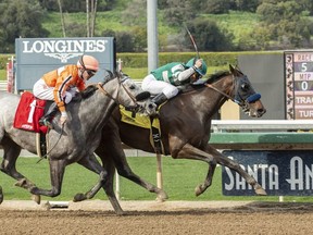 In a photo provided by Benoit Photo, Hronis Racing's Edwards Going Left and jockey Joel Rosario, right, outleg King Abner (Tyler Baze), left, to win the $100,000 Tiznow Stakes, Sunday, March 3, 2019 at Santa Anita Park in Arcadia, Calif. (Benoit Photo via AP)