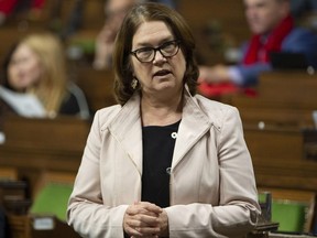 Treasury Board President Jane Philpott rises in the House of Commons to pay tribute to the late auditor general Michael Ferguson, Monday, February 4, 2019 in Ottawa. Philpott has resigned from cabinet.