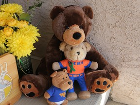 Teddy bears. (Postmedia file photo)