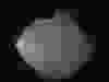 This image released by the Japan Aerospace Exploration Agency (JAXA) shows the asteroid Ryugu Friday, April 5, 2019. (JAXA via AP)
