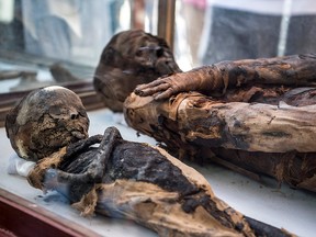 This picture taken on April 5, 2019 mummies on display outside a newly-discovered tomb at the Diabat necropolis near the city of Akhmim in Egypt's southern Sohag province. (KHALED DESOUKI/AFP/Getty Images)