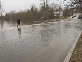 A woman wades through the flood waters of the St. John River on the only access road to the Dominion Park community in Saint John, N.B., on Wednesday, April 24, 2019.