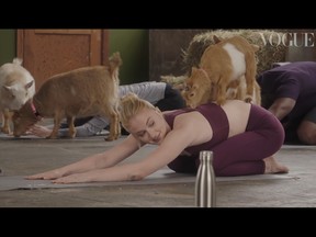 Sophie Turner tries out goat yoga.
