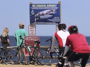 In thiis May 22, 2019, photo, a couple stands next to a shark warning sign while looking at the ocean at Lecount Hollow Beach in Wellfleet, Mass.