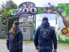 Society for the Prevention of Cruelty to Animals officers enter a zoo where the owner of the zoo was arrested on charges of cruelty to animals in St-Edouard-de-Maskinonge, Que. on Tuesday, May 21, 2019.