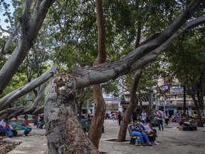 In this Jan. 6, 2017 photo, people use a public Wi-Fi hotspot in Havana, Cuba. (AP Photo/Desmond Boylan)