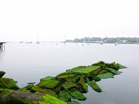 Foggy Day at Seaside Park in Bridgeport, Connecticut.