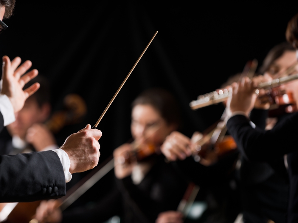 'WOW!': Orchestra finds child who charmed crowd after performance ...