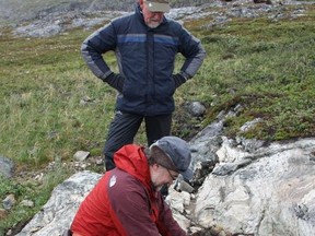 Simon Wilde, top, and Daniel Dunkley are seen in this undated handout photo. Scientific claims that some of the earliest forms of known life existed in northern Labrador are being challenged by a team of geological researchers.
