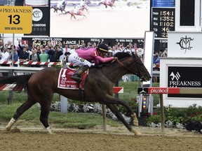 War of Will, ridden by Tyler Gaffalione, crosses the finish line first to win the Preakness Stakes horse race at Pimlico Race Course, Saturday, May 18, 2019, in Baltimore.