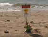 Sign on Maui beach near where a man was attacked by a shark.