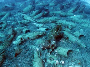 Amphorae are seen at the sea bottom at a shipwreck site, off the coast of Protaras, Cyprus June 26, 2019. (PIO/Spyros Spyrou/Handout via Reuters)