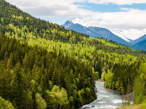 Mountain river in the colorful forest of British Columbia with snowy mountains in background.