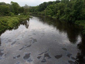 Kalamazoo River. (BEN NELMS/The Windsor Star)