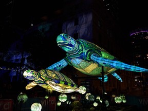 Visitors gather to see light installations in the shape of turtles at the start of the Vivid Sydney festival in Sydney on May 24, 2019.