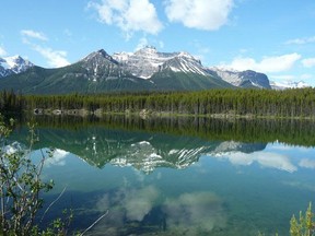 The search is on-going for the body of a male in his early 20’s who fell into Lake Herbert on June 30 while paddle boarding and did not resurface. Photo submitted.