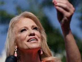 Counselor to the President Kellyanne Conway talks to reporters outside the West Wing following a television interview with FOX News at the White House July 02, 2019 in Washington, DC.