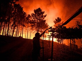 A villager holds a hose as a wildfire comes close to his house at Amendoa in Macao, central Portugal on July 21, 2019.